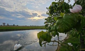Holiday Home in Alveringem Near Beach