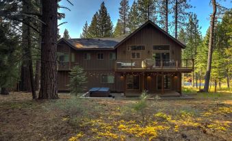 It's a Sierra State of Mind - Family Fun!