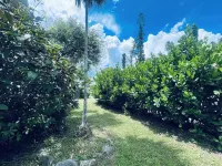 City Cottage with private pool