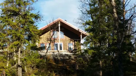 Hand-Built Retreat in the Woods