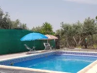 Oasis Pool in the Desert | BBQ and Garden