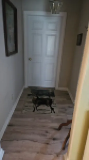 Nicely Renovated 2 BR 1 Bathroom house nestled among 160 acres of forested land