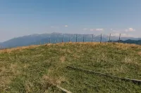 Zen Nest Tiny House Hotels in Moieciu