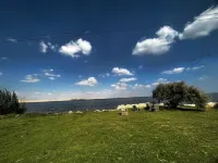 Modern 4 bedrooms Villa with private pool & garden In Tunis village Hotel a Qaroun