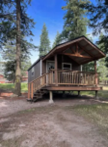 Cozy and charming little cabin nestled up in the trees ,in columbia falls MT