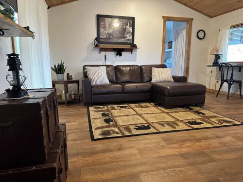 Bear Necessities Cabin - What Else Do You Need?