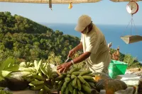 Fortuna Bay Villa/Entire Apt/Walk to the Bay West End住宿飯店