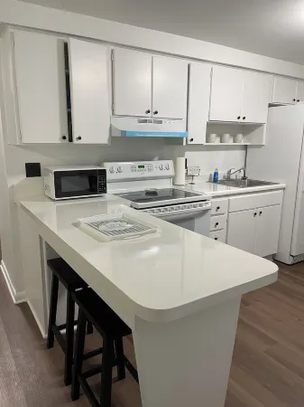 Lovely 2-bedroom apartment in brilliant Tampa with WiFi, AC