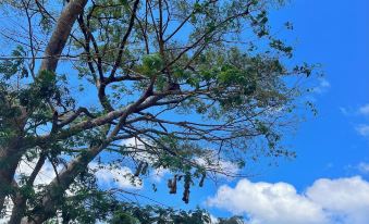 Born to be Wild eco resort