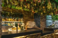 Palmyra Beach Hotel - Barer