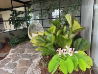 Stunning Mountain Home in Nosara, Costa Rica with Pacific Ocean Views & Pool