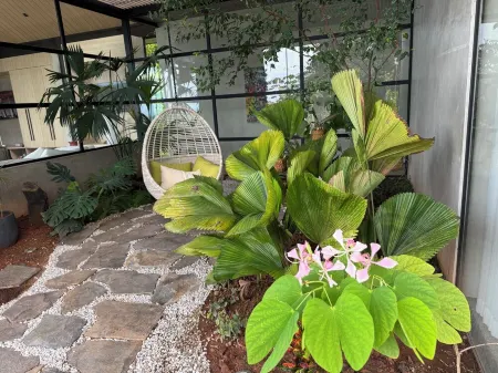 Stunning Mountain Home in Nosara, Costa Rica with Pacific Ocean Views & Pool