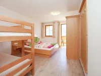 Apartment in Mittersill near Kitzbühel Ski Area - 2 stjerner