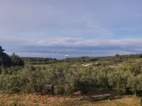 Holiday Home in Mirca with terrace - Homestays