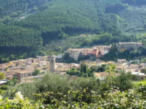 Estate in Monte Serra with Pool & Olive Views Hotels in Buti