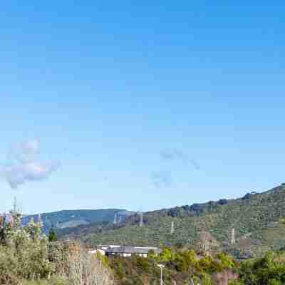 Modern 1BR Flat, Private Entry, Full Kitchen-30 minutes' drive to Wellington CBD Others
