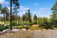Romantic Mountain Retreat Near Vallecito Lake! - 4-Star