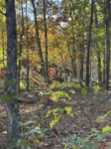 1987 “OAK SPRINGS”- Majestic-Tranquil-Serene…