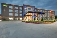 Holiday Inn Express & Suites DALLAS NORTH - ADDISON by IHG