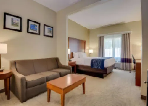 Comfort Inn & Suites Augusta Fort Eisenhower Area