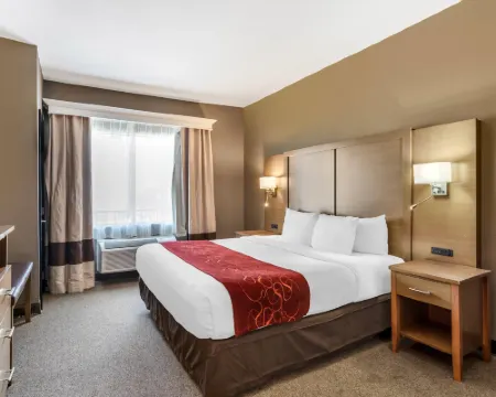 コンフォート スイーツ ブッシュ インターコンチネンタル エアポート ヒューストンのホテル