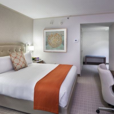 Harborview Room King Bed Seaport Hotel Boston Promo Code