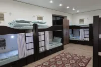 애프리콧 로지