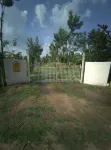 アナヴァ ファームズ