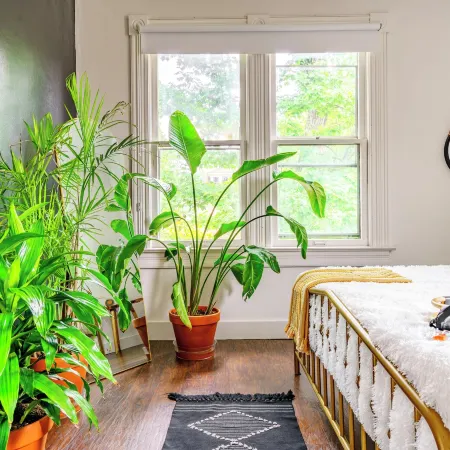 Jungle House Luxury Stays - Downtown Chillicothe