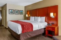 Comfort Inn Fort Mill Amusement Park at Carowinds Blvd - parking