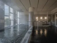 Blancart Misasa - Hot Springs