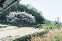 Teshima’s Ocean View Retreat Yutaka - 2 estrellas