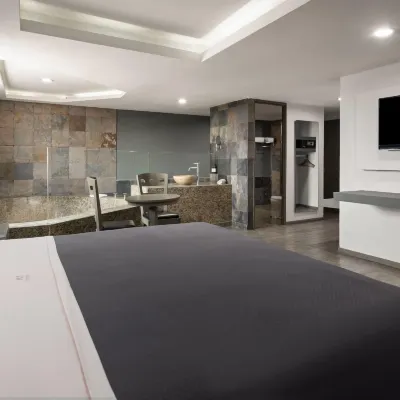 Hotel MX congreso CDMX, Trademark Collection by Wyndham Hotels near TAPO