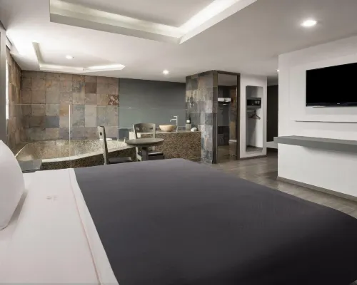 Hotel MX congreso CDMX, Trademark Collection by Wyndham Hotels near TAPO