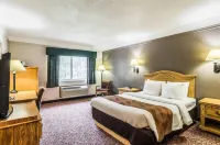 FairBridge Inn Express Buffalo - Wifi