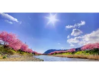 Trust Maison Shirata Hotels in Higashiizu