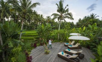 Calma Ubud Suite & Villas