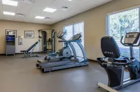 Sleep Inn Great Falls Airport - Gym