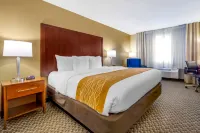 Comfort Inn Auburn - Seattle - 3-Star