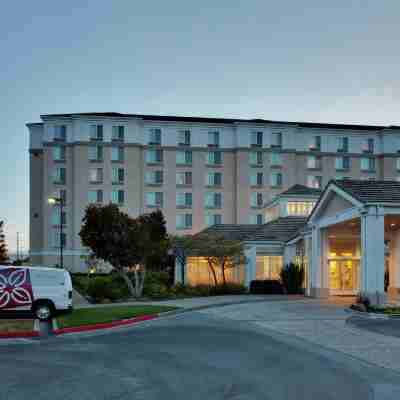 ヒルトン ガーデン イン サンフランシスコ エアポート ノース Hotel Exterior