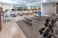 Hilton Pasadena - Gym