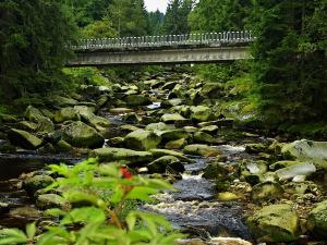 5 Sterne Studiowohnung Vogelsang - am Nationalpark Bayerischer Wald, 4 Gäste