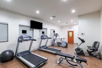 Holiday Inn Express & Suites PRYOR by IHG - Kuntosalit