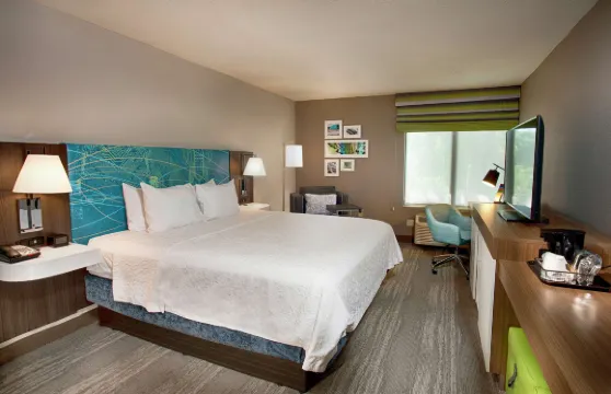 希爾頓歡朋酒店-希爾頓黑德