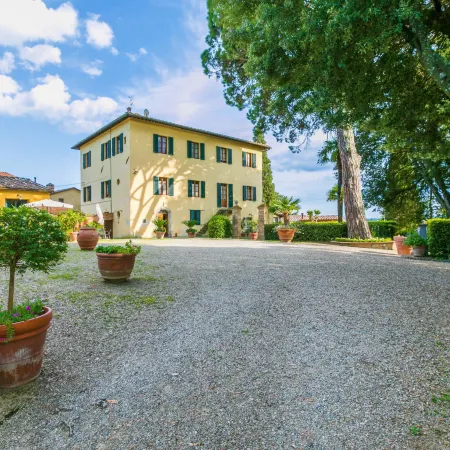 Giuggiolo - Giuggiolo 5