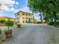 Giuggiolo - Giuggiolo 3
