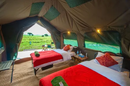 Kananga Special Tented Camp Отели в г. Серенгети