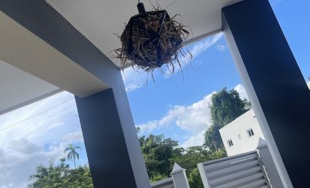 Villa la 5 - Housity