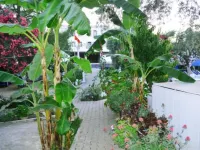 على بابا هوتل Hotels near شاطئ جامبيت