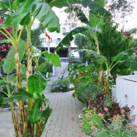 Ali Baba Hotel Gümbet Отели рядом с достопримечательностью «Французская башня»